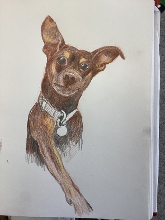 Harlow