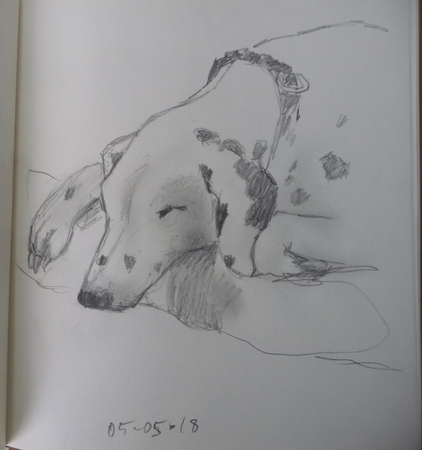 Pepper