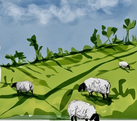 Field of Fleece