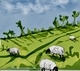 Field of Fleece