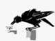 Hungry Crow - Rainy Day