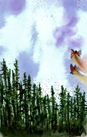 Mariposa