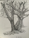 fullsizeoutput a01