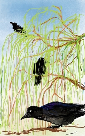 Corvid Good - Covid Bad