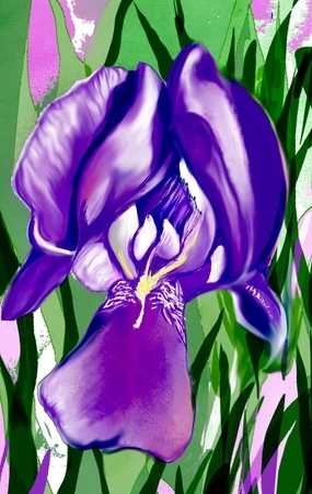 Iris