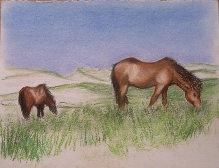 Sable Island