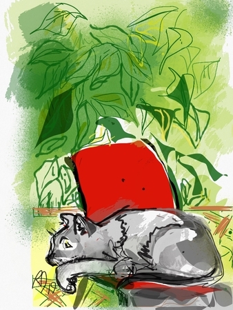 Tank on Red Chair in Garden