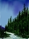 IMG 0866