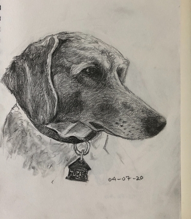 Tucker I (aka Giotto)