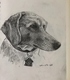 Tucker I (aka Giotto)