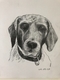 Tucker II