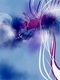 IMG E0965