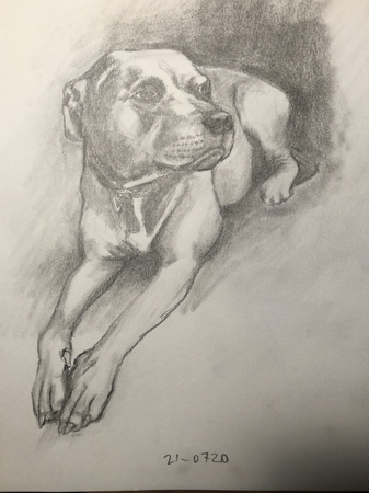 Zoe