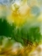 IMG E0991
