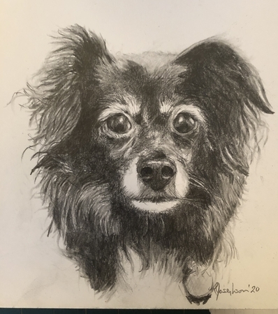 Hugo
