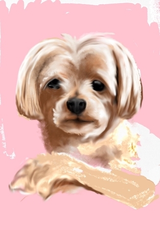 Zoe