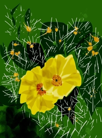 Prickly Pear