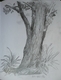 P1100930