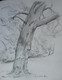 P1100932